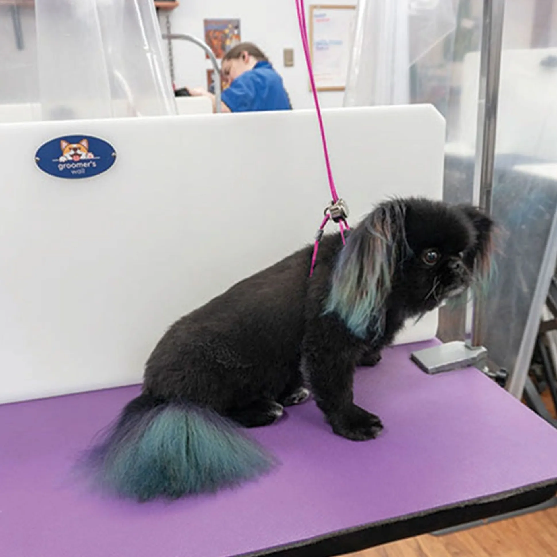 All For Groomers Vinyl Trach Savers