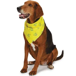 Aria Bark It's My Birthday Bandana