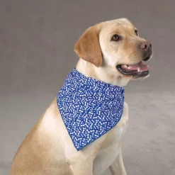 Aria Bone Bandanas