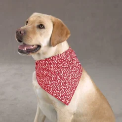 Aria Bone Bandanas