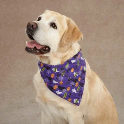 Aria Boo Bandanas