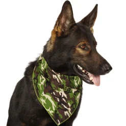 Aria Camo Bandanas