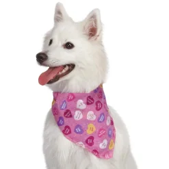 Aria Conversation Hearts Bandanas