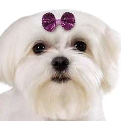 Aria Sequin Dog Bows Canister, 100 pc