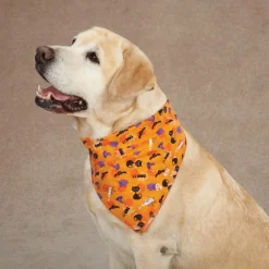 Aria Spooky Bandanas