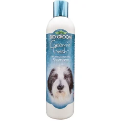 Bio-Groom Groom 'N Fresh Dog Grooming Conditioning Shampoo
