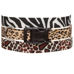 Casual Canine Animal Print Collars