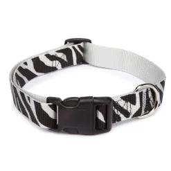 Casual Canine Animal Print Collars