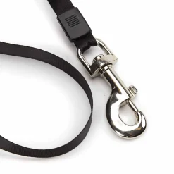 Casual Canine Belted Retractable Leads
