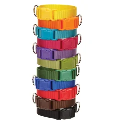 Casual Canine Classic Nylon Dog Collars
