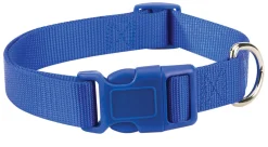 Casual Canine Classic Nylon Dog Collars