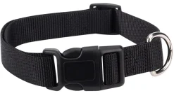 Casual Canine Classic Nylon Dog Collars