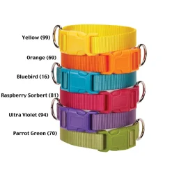 Casual Canine Classic Nylon Dog Collars