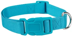 Casual Canine Classic Nylon Dog Collars