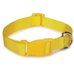 Casual Canine Classic Nylon Dog Collars