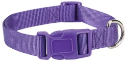 Casual Canine Classic Nylon Dog Collars