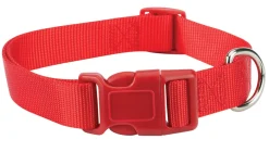 Casual Canine Classic Nylon Dog Collars