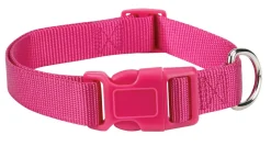 Casual Canine Classic Nylon Dog Collars