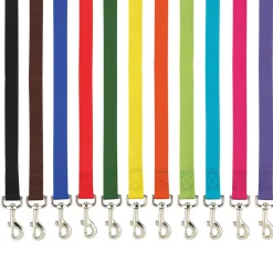 Casual Canine Classic Nylon Leads