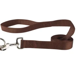 Casual Canine Classic Nylon Leads
