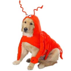 Casual Canine Lobster Paws Dog Costumes