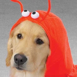 Casual Canine Lobster Paws Dog Costumes
