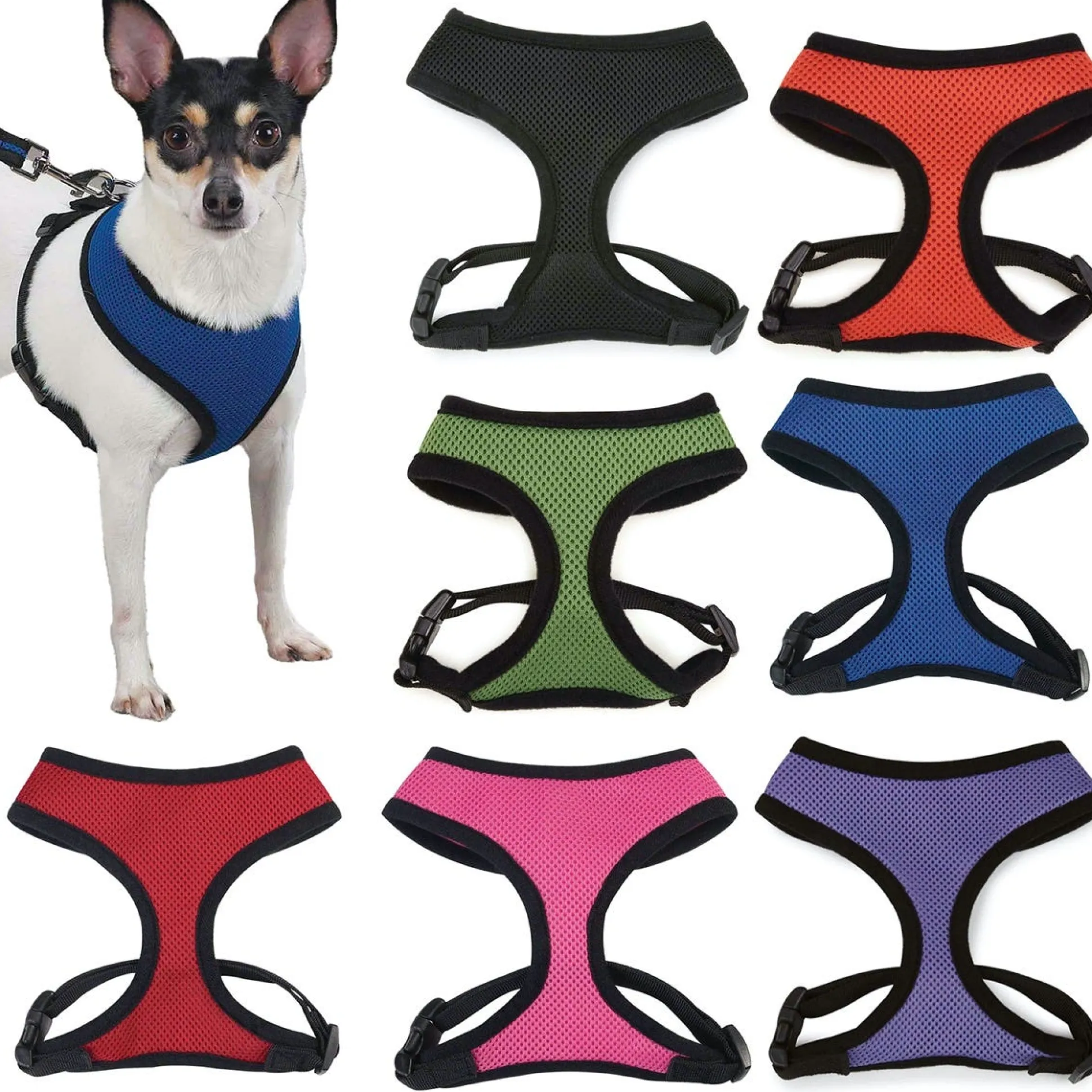 Casual Canine Mesh Harnesses