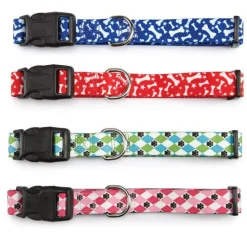 Casual Canine Pooch Patterns Dog Collars