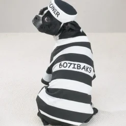 Casual Canine Prison Pooch Costumes