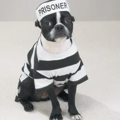 Casual Canine Prison Pooch Costumes