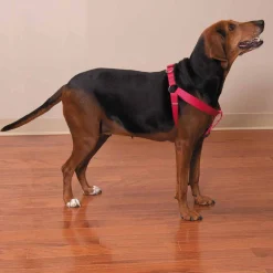 Casual Canine Two-Step Harnesses