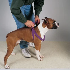 Casual Canine Two-Step Harnesses