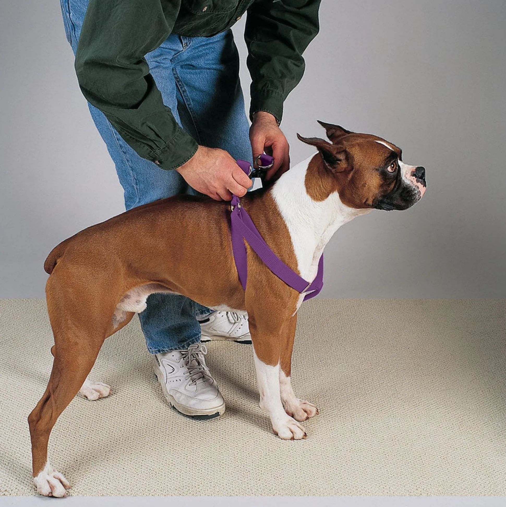 Casual Canine Two-Step Harnesses