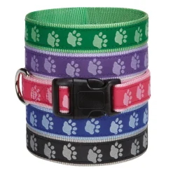 Casual Canine Two-Tone Pawprint Collars