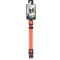 Digger's 5/8 Adjustable Nylon Collar 12-18In Neon Orange