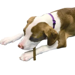 Dog Treat Naturals Superfood Sticks