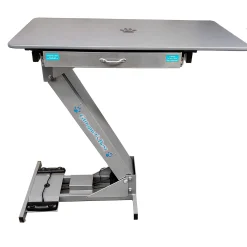 Groomer's Best Low-Profile Electric Grooming Tables