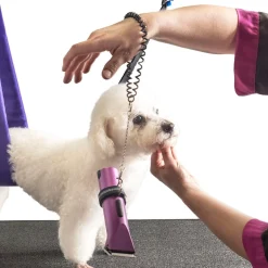 Grooming Safety by Jessica Dog Hair Clipper Tool Saver