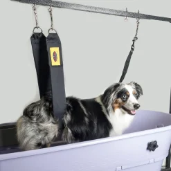 Grooming Safety by Jessica - The Belly Band