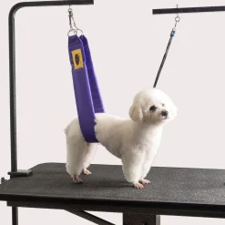 Grooming Safety by Jessica - The Belly Band
