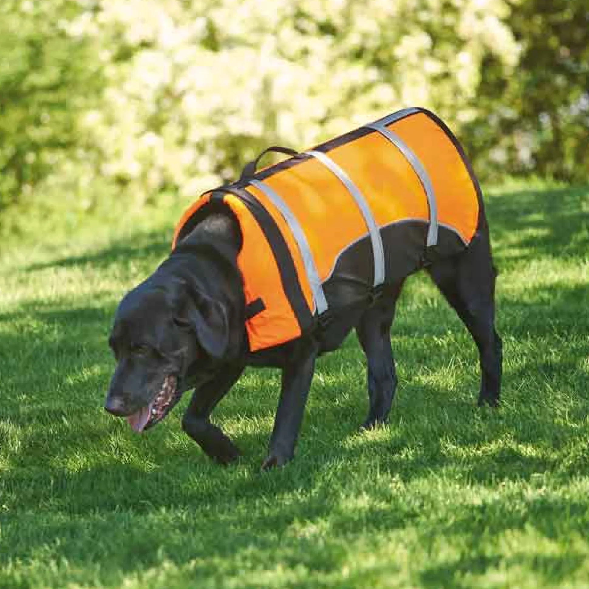 Guardian Gear Aquatic Pet Preservers