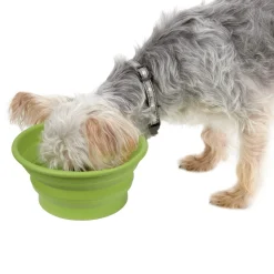 Guardian Gear Bend-a-Bowls