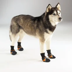 Guardian Gear Dog Boots