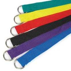 Guardian Gear Kennel Leads 6 Ft