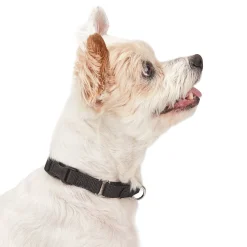 Guardian Gear Martingale Collars with Quick Release Buckle