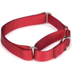 Guardian Gear Nylon Martingale Dog Collars