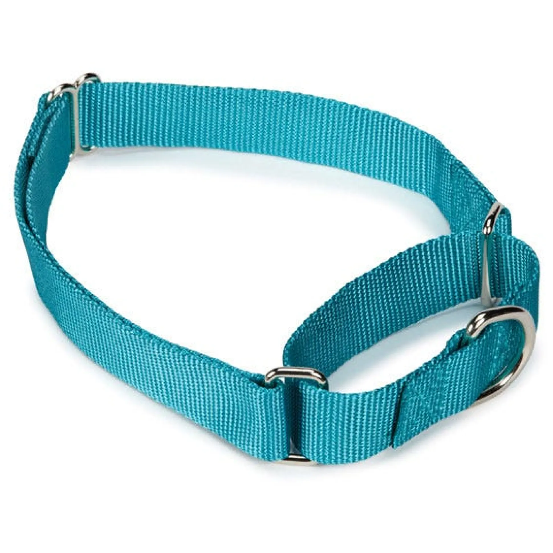 Guardian Gear Nylon Martingale Dog Collars