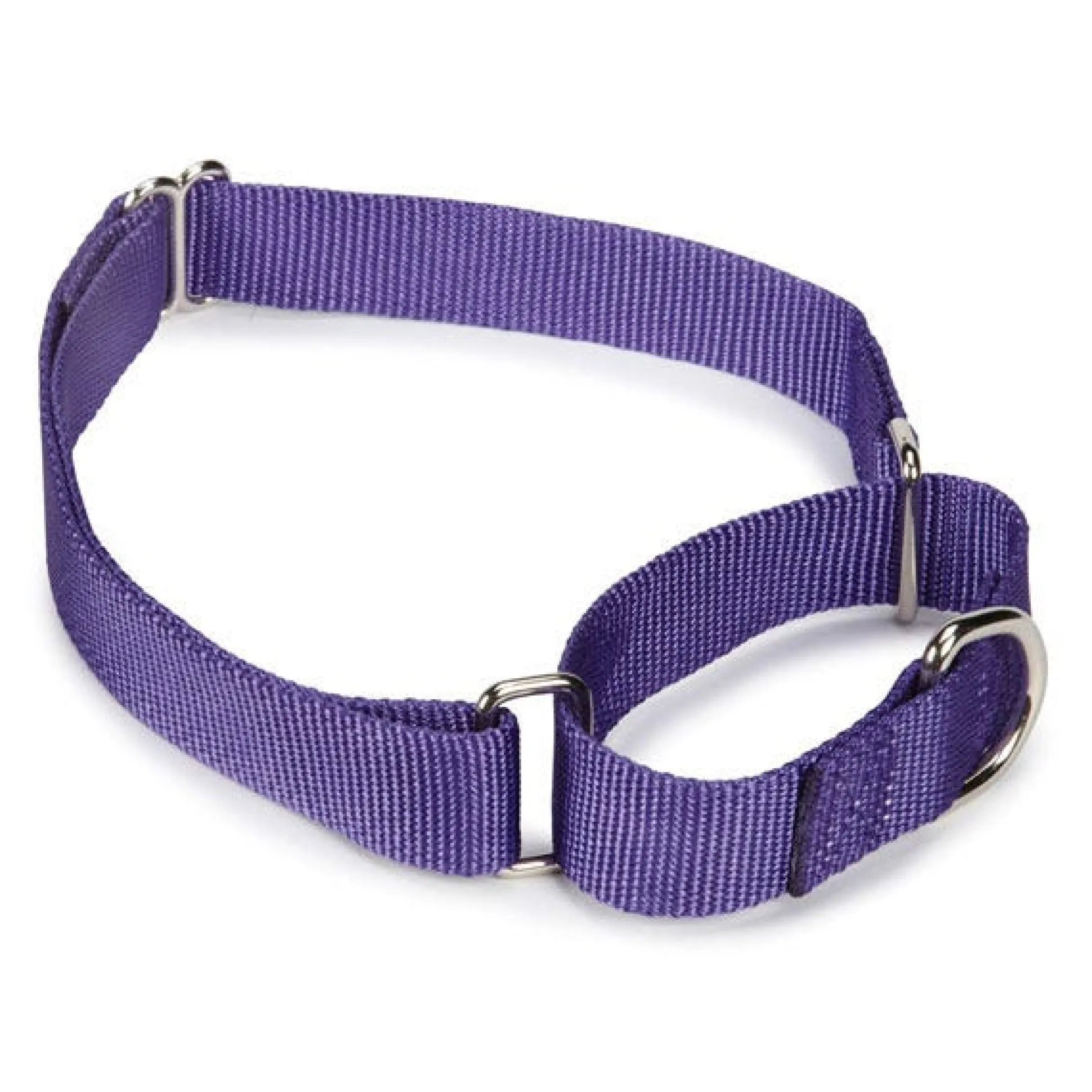Guardian Gear Nylon Martingale Dog Collars