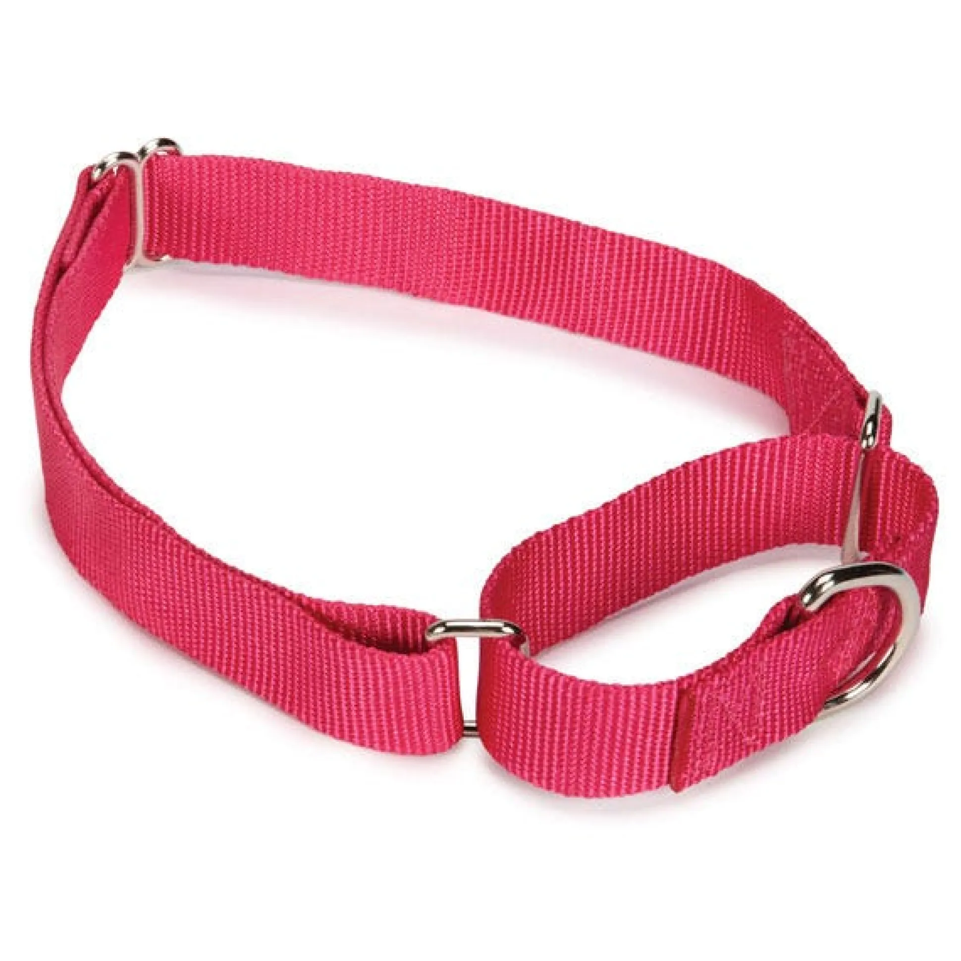 Guardian Gear Nylon Martingale Dog Collars