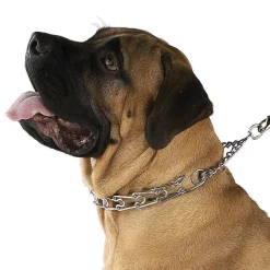 Guardian Gear Prong Training Dog Collars